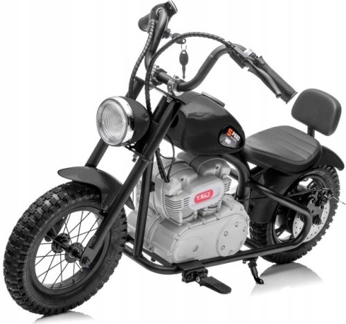 Električni motor na 2 kotača, napuhani kotači, 24V baterija, 250W snaga
