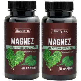   Magnez s vitaminom B6 - 4 oblika magnezija u 60 kapsula za podršku energiji i živcima