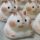 Ručno izrađena Silikonska Igračka za Stiskanje Taba Squishy Hamster