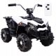  QUAD SPORT 1000 NA AKUMULATOR, DVA MOTORA, DALJINSKI/MDX608