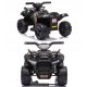  BATERIJA QUAD ZA BEBU - CHAMPION 5000/JS320