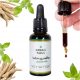 Ashwagandha Green Soul 10% Witanolidów - Adaptogen za Redukciju Stresa
