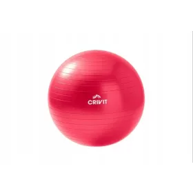  Crivit lopta za balansiranje 65 cm, nijanse sive