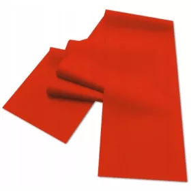  MASTER Traka za vježbanje 120 x 15 cm