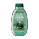 Botanic Therapy Garnier šampon za čišćenje 400 ml