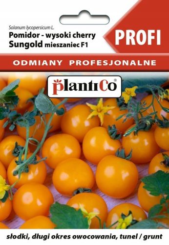 Paradajz SUNGOLD PATULJASTA NARANČASTA VIŠNJA VISOKA 8 KOM. PROFESIONALAC