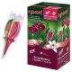 Organsko gnojivo za storczyke Agrecol Orchid Strong 2x20ml