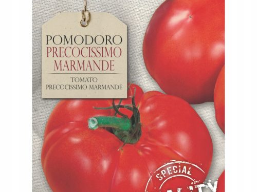 Rajčica Bavicchi Precocissimo Marmande