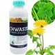Herbicid Chwastox Complex 260 EW za efikasno suzbijanje dvosupnica