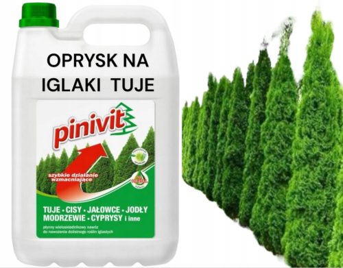 PINIVIT 20L Dolistno gnojivo protiv posmeđivanja četinjača Thuja Thuja Resistance