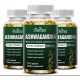 Ashwagandha MAX 2000 mg - Ekstrakt s Korijena za Vitalnost i Zdrav San