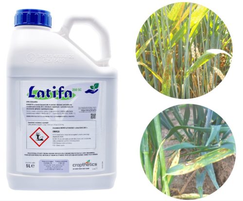 Fungicid Latifa 250 SC - Učinkovita zaštita za širok spektar usjeva