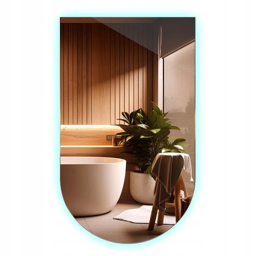  LED kupaonsko ogledalo 40x70 cm krnji oval s hladnim pozadinskim osvjetljenjem