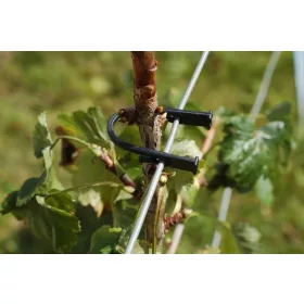  Crne kopče za biljke 100 kom.