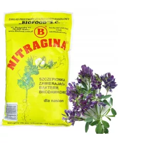 BioGnojivo za lucernu, tretman sjemena s NITRAGINOM