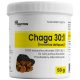 Ekstrakt Chaga 30:1 od Proton Labs - Suplement Diety z Najmocniejszym Grzybem