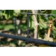  REMA - 1028 - Schlauchabstandhalter - DRŽAČ ODSTOJNIKA CRIJEVA 16 MM