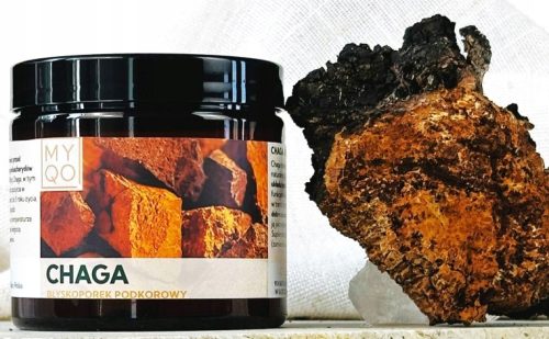 Kapsule Chaga za zdravlje probavnog sustava i jetre - 90 komada