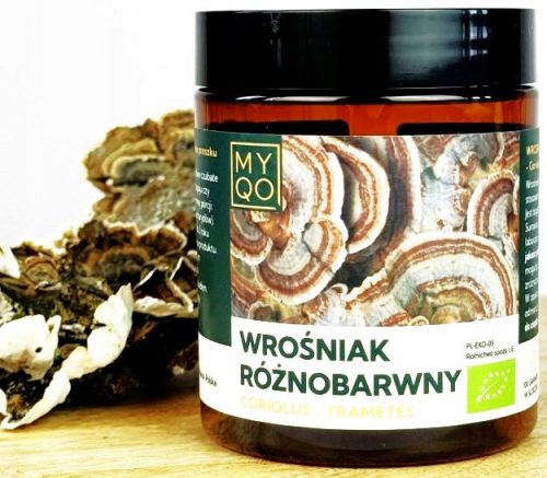 BIO Ekstrakt Gljive Šarenog Prepeljca (Coriolus Versicolor) u Prahu - 100g