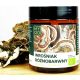BIO Ekstrakt Gljive Šarenog Prepeljca (Coriolus Versicolor) u Prahu - 100g