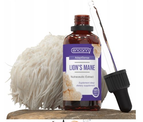 Encann Lion's Mane - Snažan Ekstrakt Mane Lavlje u Kapima, 50 ml