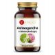 YANGO Ashwagandha s Crvenom Djetelinom 90 Veganskih Kapsula - Podrška za Stres i Menopauzu