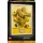  LEGO Art 31215 LEGO Art 31215 Vincent van Gogh – Suncokreti