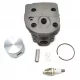  CILINDAR S KLIPNOM SVJEĆICOM ZA HUSQVARNA 50 51 55 SET DIJELOVA ZA PILU 46 MM