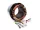  STATOR GENERATOR 85 mm GENERATOR 12V 380V