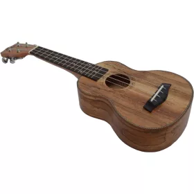 UKULELE KONCERT MSA