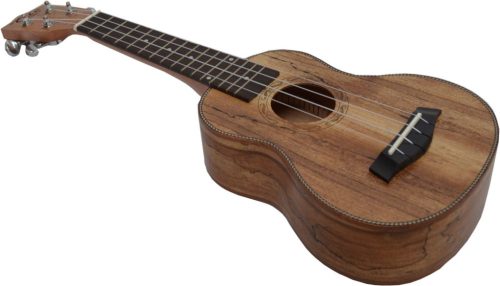 UKULELE KONCERT MSA