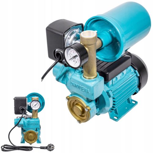 Površinska pumpa Omnigena 250 W 2100 l/h