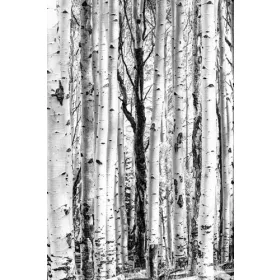 3D FOTO POZADETA ŠUMA DRVEĆE CVIJEĆE PRIRODA+100 uzoraka