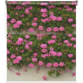  FOTO ROLETINE balkon terasa 80 uzoraka 83x150