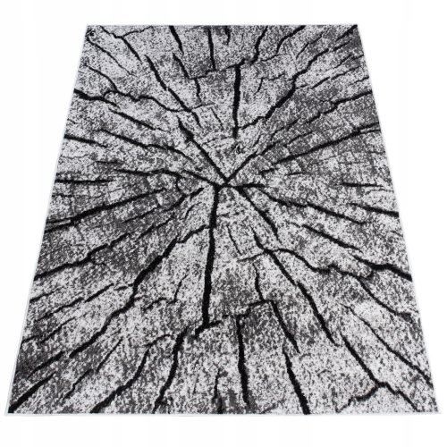 Luksuzni tepih s niskim florom Chemex dimenzija 250 x 300 cm