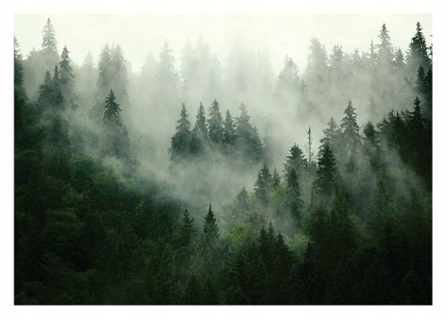 Zidna slika ŠUMA U MAGLI drveće planine VINIL 368x254