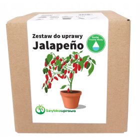 Zestaw za uzgoj paprike Jalapeno