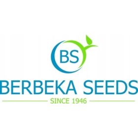 Sjemenke krastavca Šremski F1 250 g