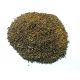  Bijeli melilot 1KG