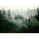 FOTO TAPETE PLANINE ŠUMA DRVEĆE 4A F3XL 416x254 F13026
