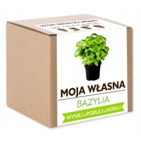 Bazilika za uzgoj - Komplet za uzgoj domaćeg bilja