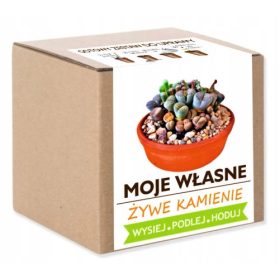  LIVING STONES set za uzgoj