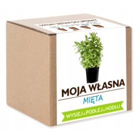 Set za uzgoj metvice