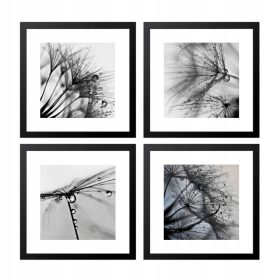   Moderan Set Slika u Okviru sa 4 Postera Maslačak za Dnevnu i Spavaću Sobu