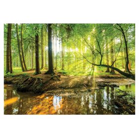 Zidni mural ŠUMA DRVEĆE MAGLA PRIRODA 3D POGLED 368x254