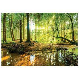 VINIL tapeta šuma drveće priroda 3D 368x254