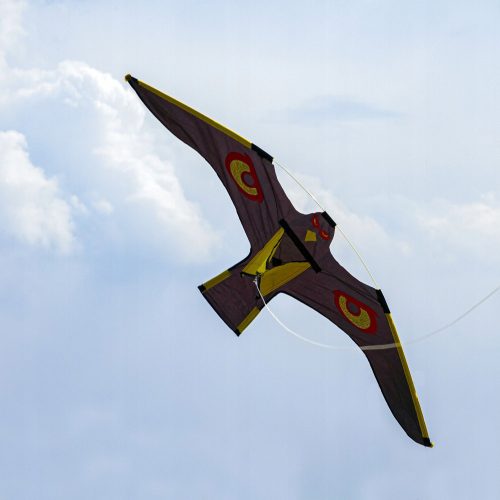 Odstranjivač ptica ZMAJ FALCON XXXL 142cm RAW