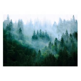   Zidni mural za dnevni boravak ŠUMA U MOGU 3D drveće 368x254