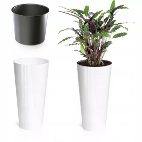    Prosperplast saksija 30 cm x 30 x 57 cm promjer 30 cm plastična bijela