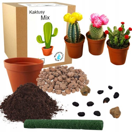 Set za uzgoj KAKTUSA - MIX kaktusa i sukulenata